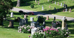 Earth Memorial Cemetery